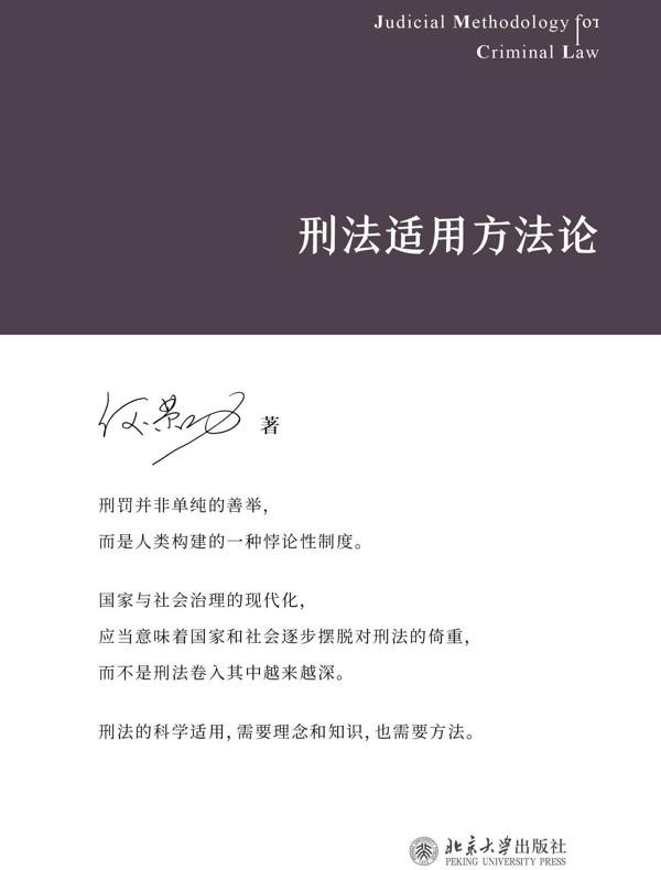 刑法适用方法论