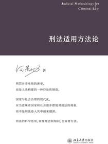 刑法适用方法论