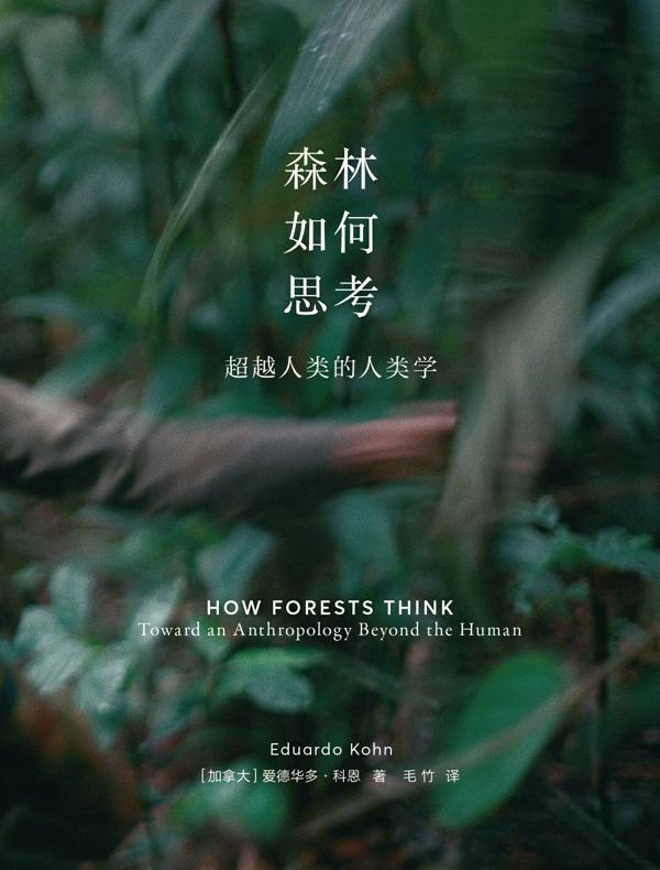 森林如何思考