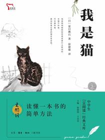 我是猫