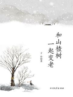 封面