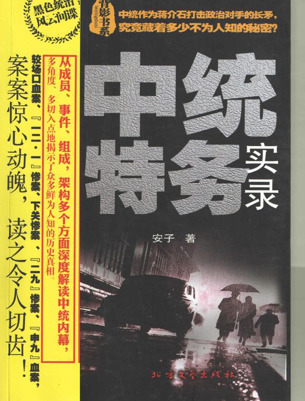 中统特务实录