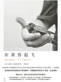 在黄昏起飞