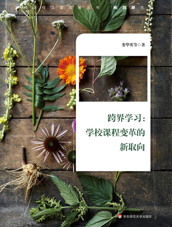 跨界学习：学校课程变革的新取向