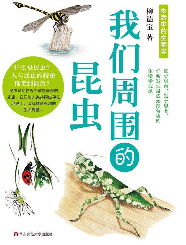 我们周围的昆虫