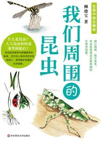 我们周围的昆虫