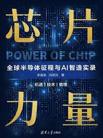 芯片力量：全球半导体征程与AI智造实录