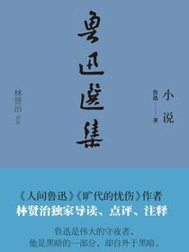 鲁迅选集：小说