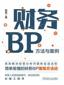财务BP：方法与案例