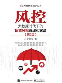 风控：大数据时代下的信贷风险管理和实践（第2版）