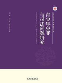 青少年犯罪与司法问题研究