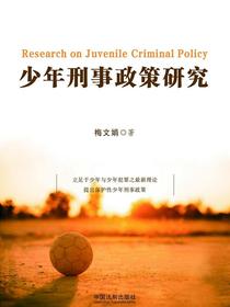 少年刑事政策研究