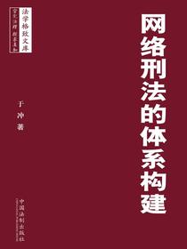 网络刑法的体系构建