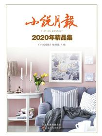 小说月报2020年精品集