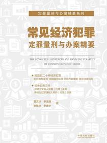 常见经济犯罪定罪量刑与办案精要