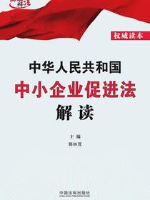 中华人民共和国中小企业促进法解读