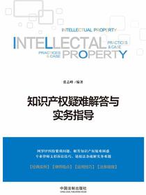 知识产权疑难解答与实务指导