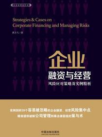 企业融资与经营风险应对策略及实例精析