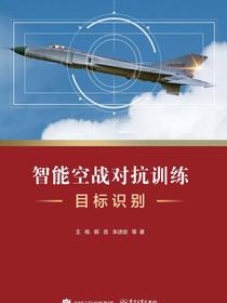 智能空战对抗训练目标识别