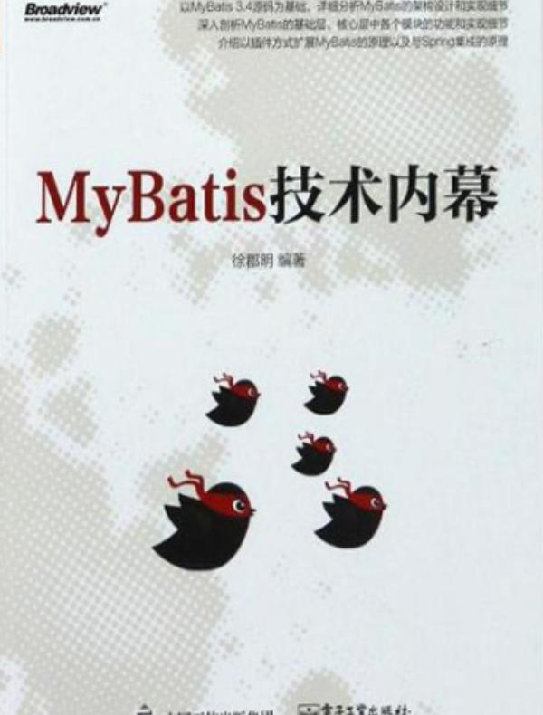 MyBatis技术内幕