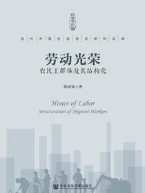 劳动光荣：农民工群体及其结构化（当代中国社会变迁研究文库）