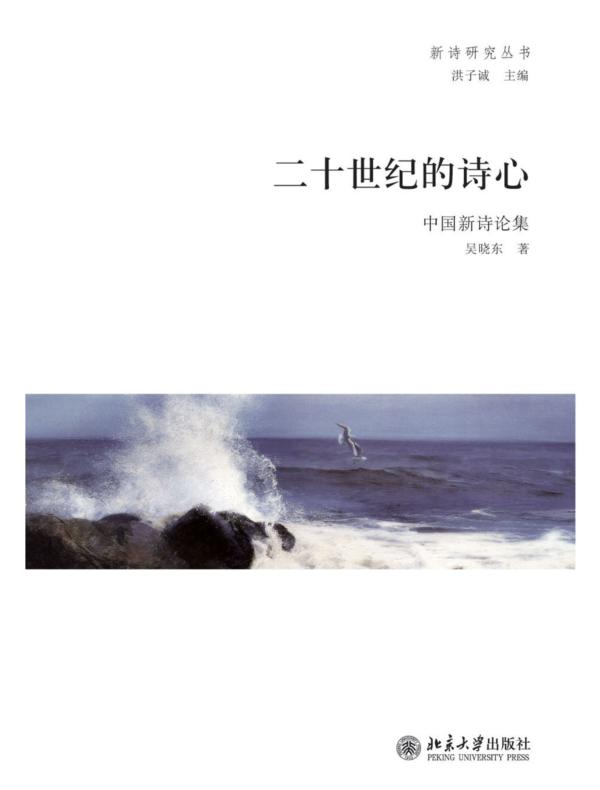 二十世纪的诗心:中国新诗论集