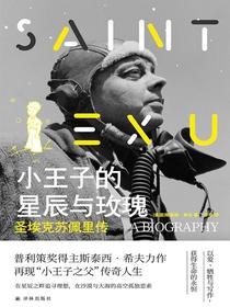 小王子的星辰与玫瑰：圣埃克苏佩里传
