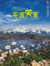 天涯芳草