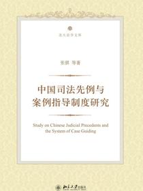 中国司法先例与案例指导制度研究