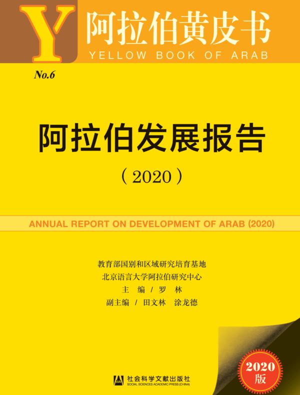 阿拉伯发展报告（2020）