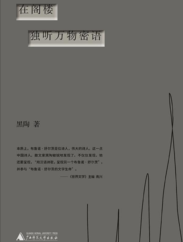 在阁楼独听万物密语：布鲁诺舒尔茨诗篇