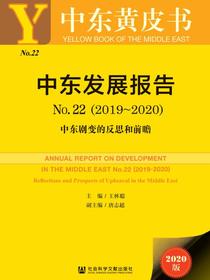 中东发展报告（No.22·2019~2020）：中东剧变的反思和前瞻