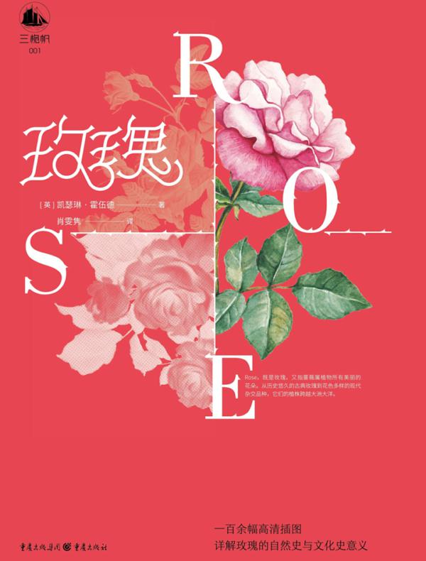 玫瑰（三桅帆科普系列丛书）