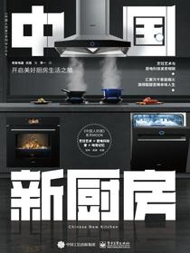 中国新厨房