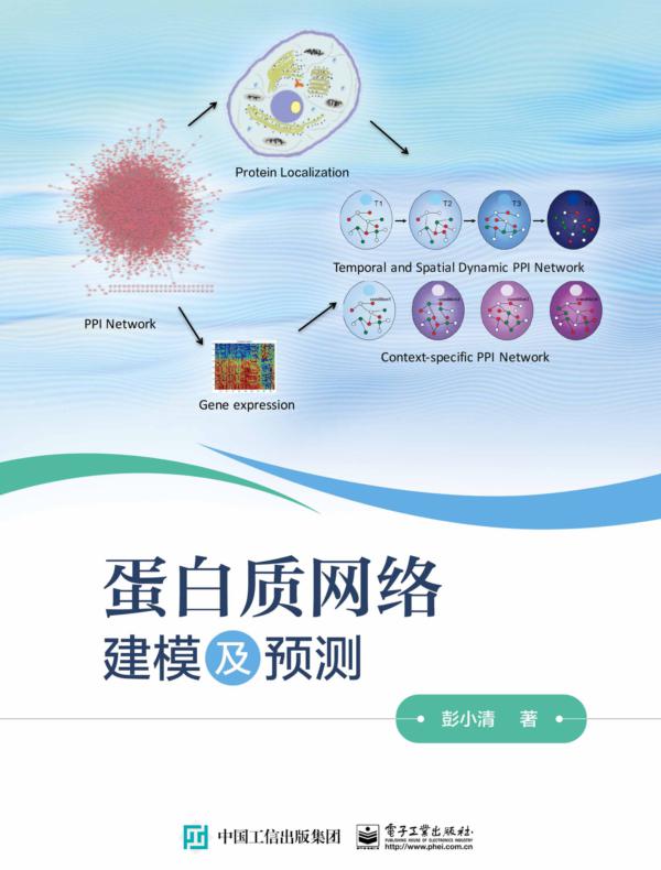 蛋白质网络建模及预测