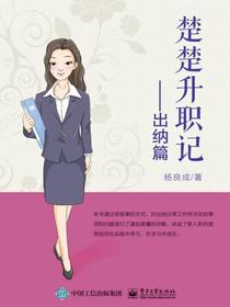 楚楚升职记——出纳篇