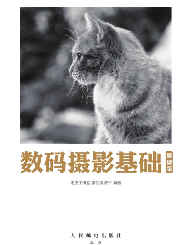 数码摄影基础（慕课版）