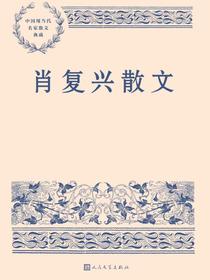 肖复兴散文