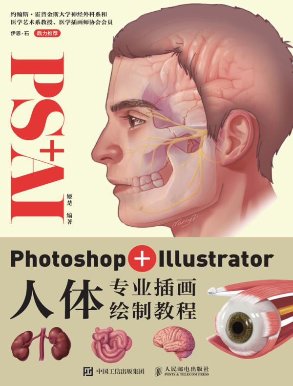 Photoshop+Illustrator人体专业插画绘制教程
