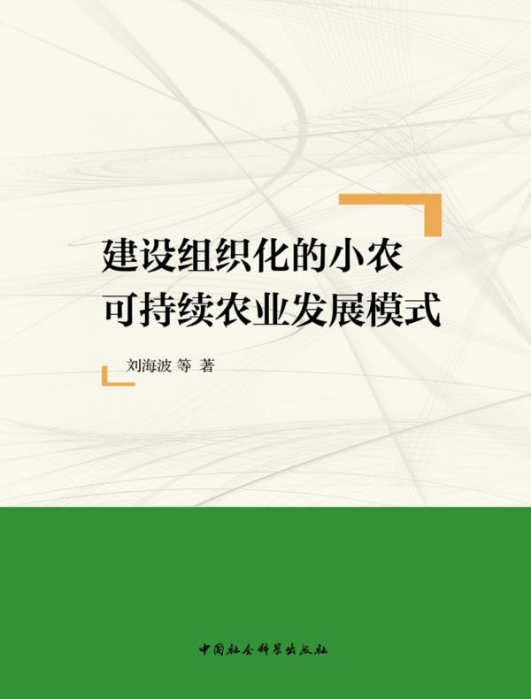 建设组织化的小农可持续农业发展模式
