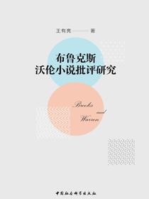 布鲁克斯、沃伦小说批评研究