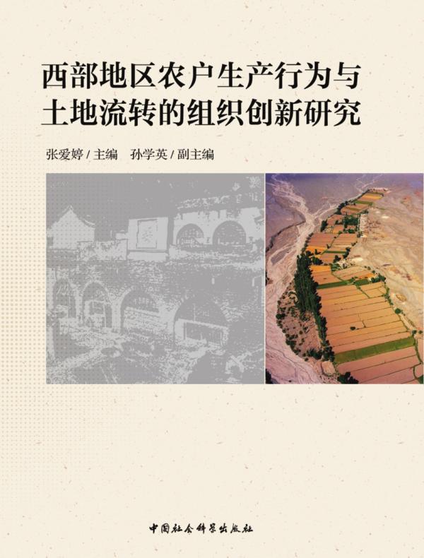 西部地区农户生产行为与土地流转的组织创新研究