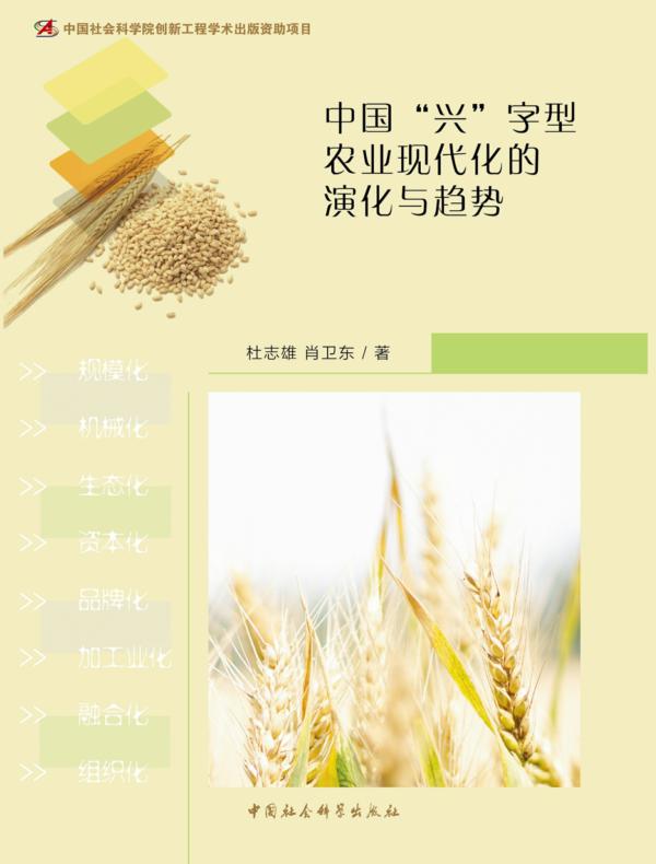 中国“兴”字型农业现代化的演化与趋势