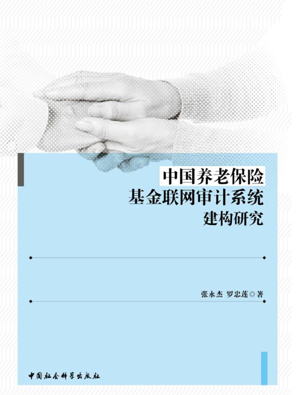 中国养老保险基金联网审计系统建构研究