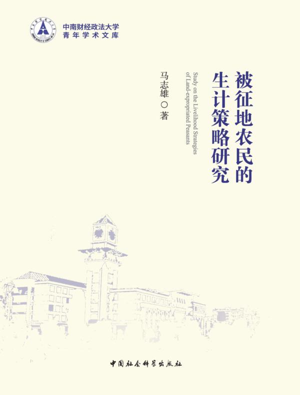 被征地农民的生计策略研究