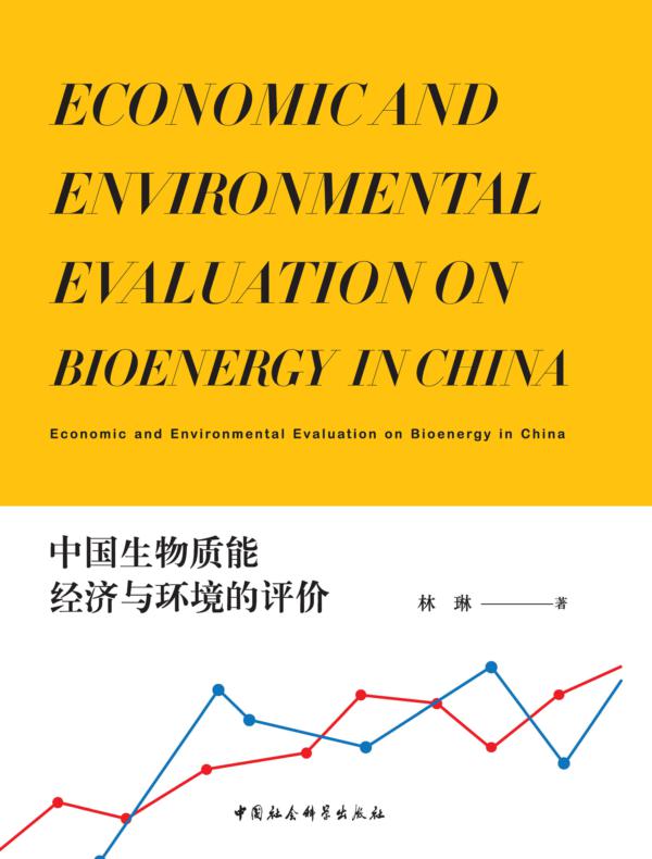中国生物质能经济与环境的评价