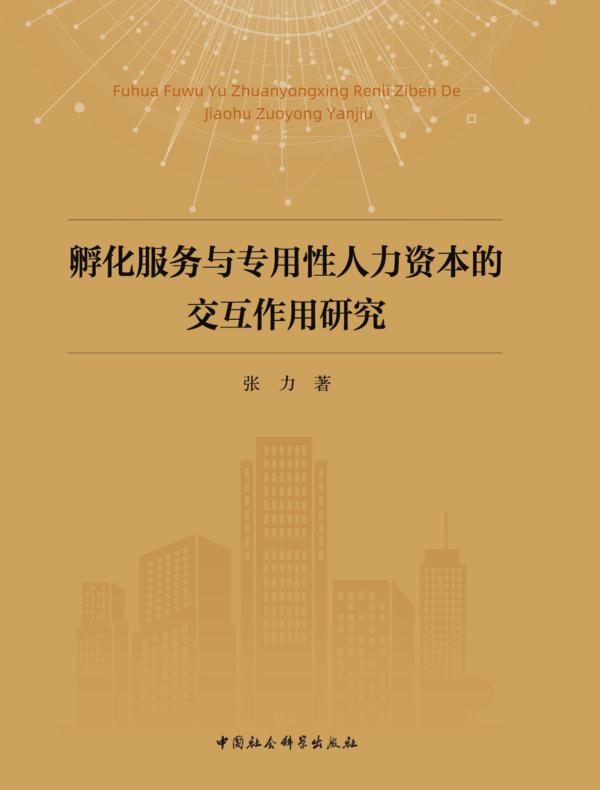 孵化服务与专用性人力资本的交互作用研究