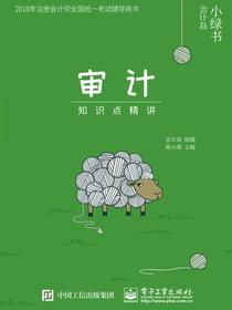 审计——知识点精讲