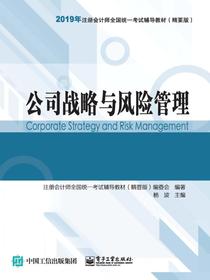公司战略与风险管理
