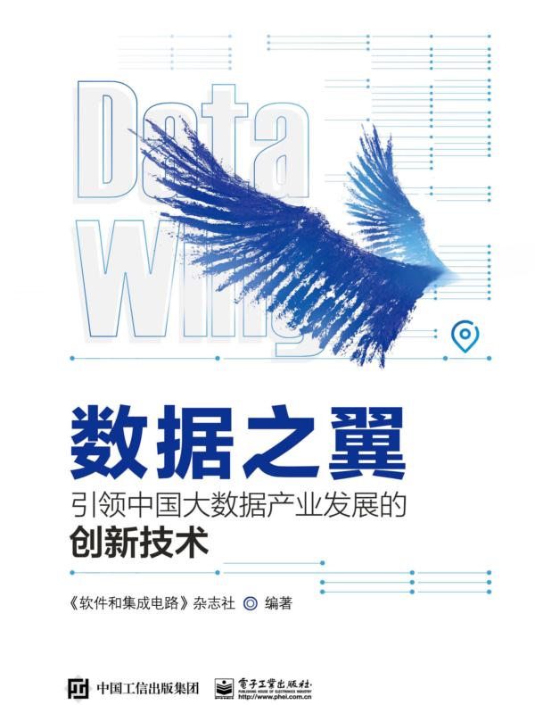 数据之翼：引领中国大数据产业发展的创新技术